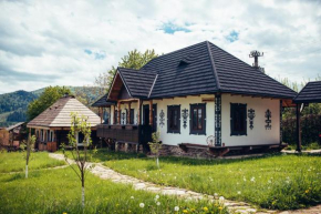  Pension La Roata  Гура Хуморулуй